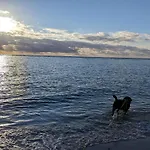 8 Person In Blavand-by Traum *