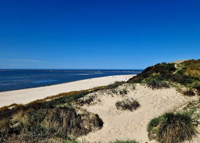 8 Person In Blavand-by Traum Σπίτι διακοπών