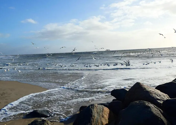 8 Person In Blavand-by Traum