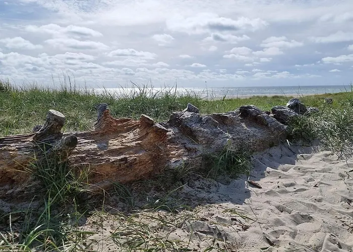 8 Person In Blavand-by Traum