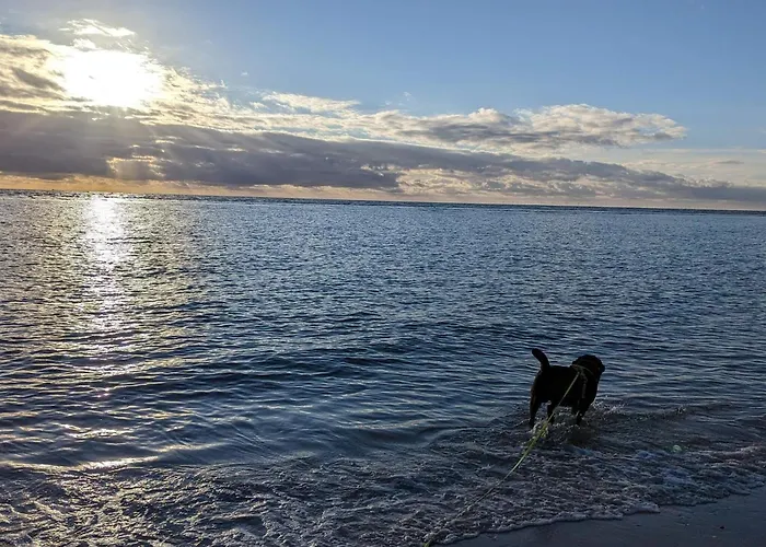 8 Person In Blavand-by Traum *